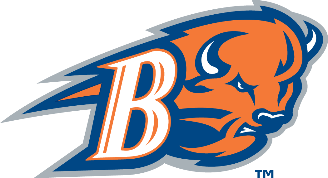 Bucknell Bison 2002-Pres Alternate Logo v2 DIY iron on transfer (heat transfer)